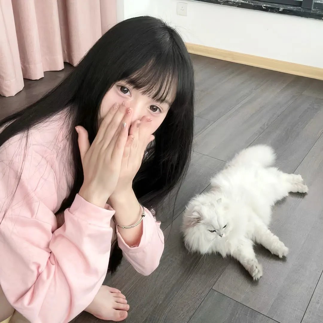 白云山传奇